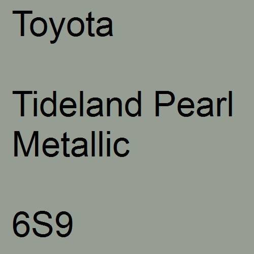 Toyota, Tideland Pearl Metallic, 6S9.